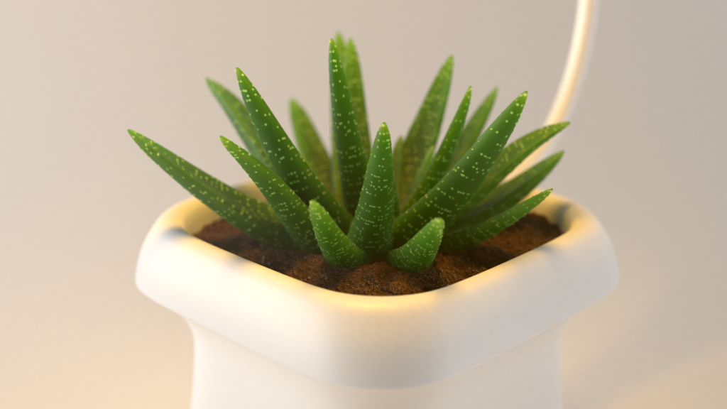 3D Zebra Succulent Modelling