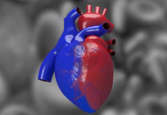 3D Medical Animation