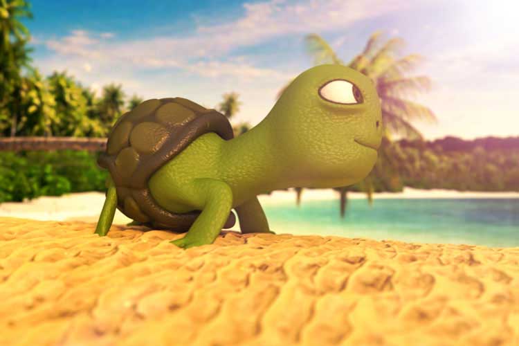 3D Turtle Animation
